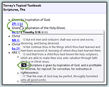 Popup verse references