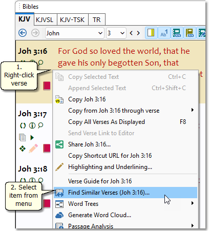 Sample Bible panel showing pop-up menu with Find Similar Verses Sample Bible panel showing pop-up menu with Find Similar Verses