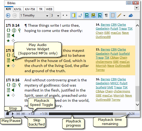 Sample Bible panel showing media control bar Sample Bible panel showing media control bar