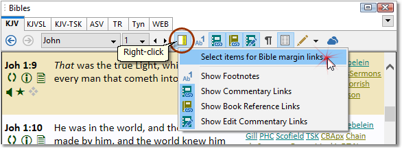 Sample showing how to select Bible Margin items Sample showing how to select Bible Margin items