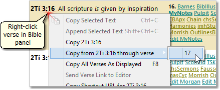 Example of copying verses to the clipboard by right-clicking a verse in the Bible panel Example of copying verses to the clipboard by right-clicking a verse in the Bible panel