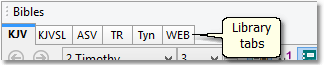 Sample of Bible library tabs Sample of Bible library tabs