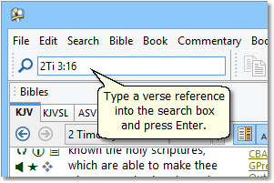 This is a sample image of the Go To Verse box from the SwordSearcher main window.