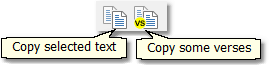 The Copy Tools Toolbar The Copy Tools Toolbar