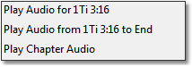 Sample audio playback menu items from the Bible panel (with verse-level support)