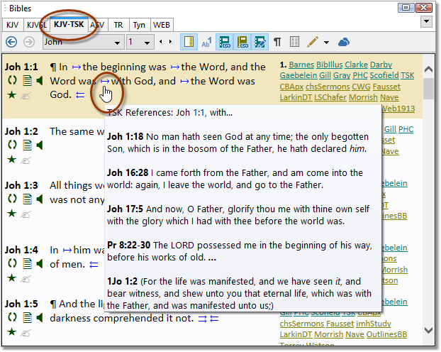 Sample screen showing the KJV-TSK on John 1:1 with cross-references for the phrase "with God."