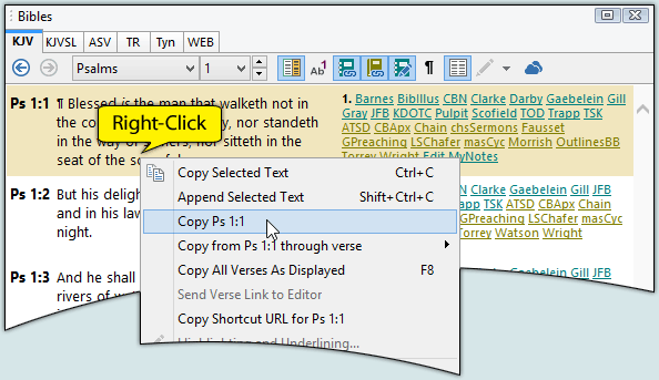 Sample screen showing how to right-click a verse to copy it