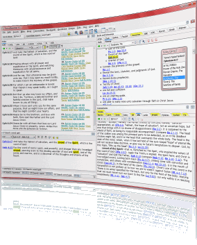 Screen shot of Bible Software on Windows