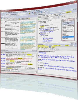 Screen shot of Bible Software on Windows