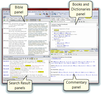 Four study panels [sample]