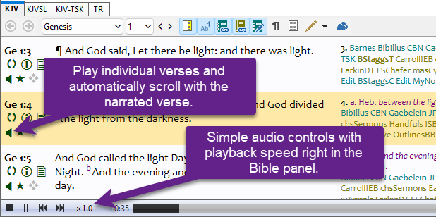 Integrated MP3 Bible Screen Shot