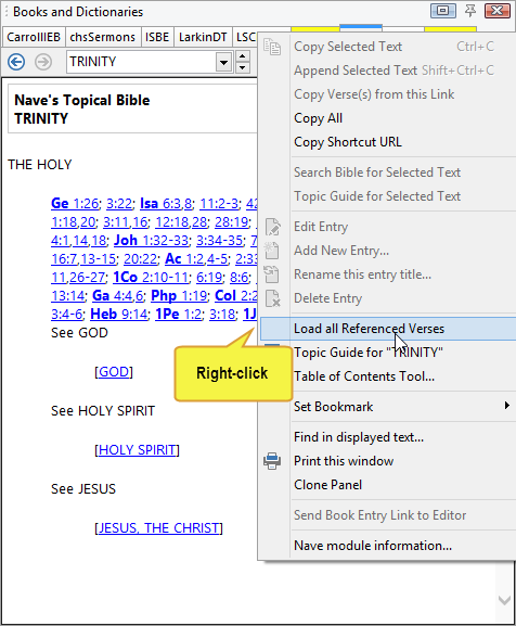 Right-click menu in books panel, showing "Load all Referenced Verses" option.