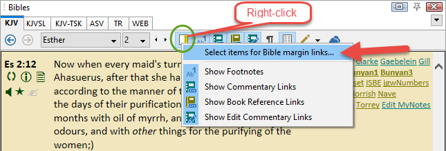 Right-click the Bible margin toggle button...