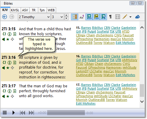 This is a sample image of the Bible panel from the SwordSearcher main window, set to 2nd Timothy 3:16.