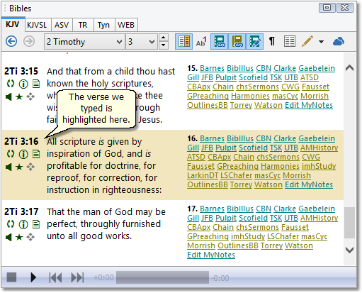 This is a sample image of the Bible panel from the SwordSearcher main window, set to 2nd Timothy 3:16. This is a sample image of the Bible panel from the SwordSearcher main window, set to 2nd Timothy 3:16.