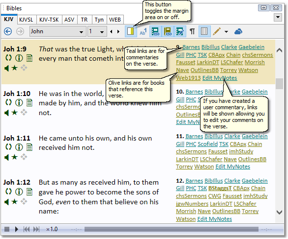 This is a sample image of the Bible panel from the SwordSearcher main window.