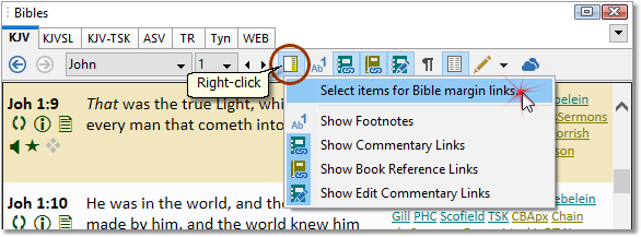 Sample showing how to select Bible Margin items