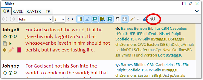 Sample showing the Bible panel's Read Aloud (Text to Speech) button.